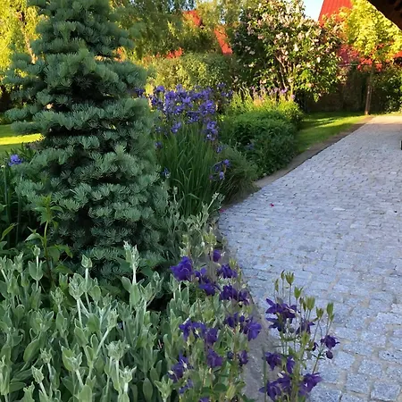 In Mit Gepflegtem Garten 度假居 Gąski